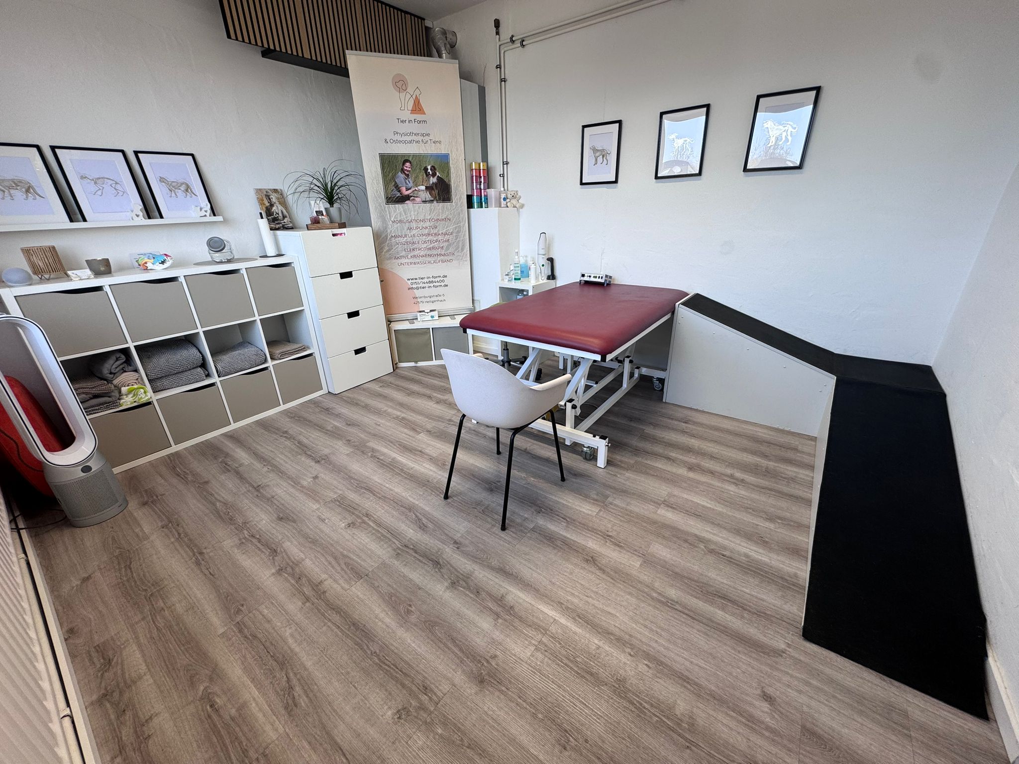 Einblick in die Räumlichkeiten der Physiotherapie Tier in Form mit Fokus auf die Massageliege
