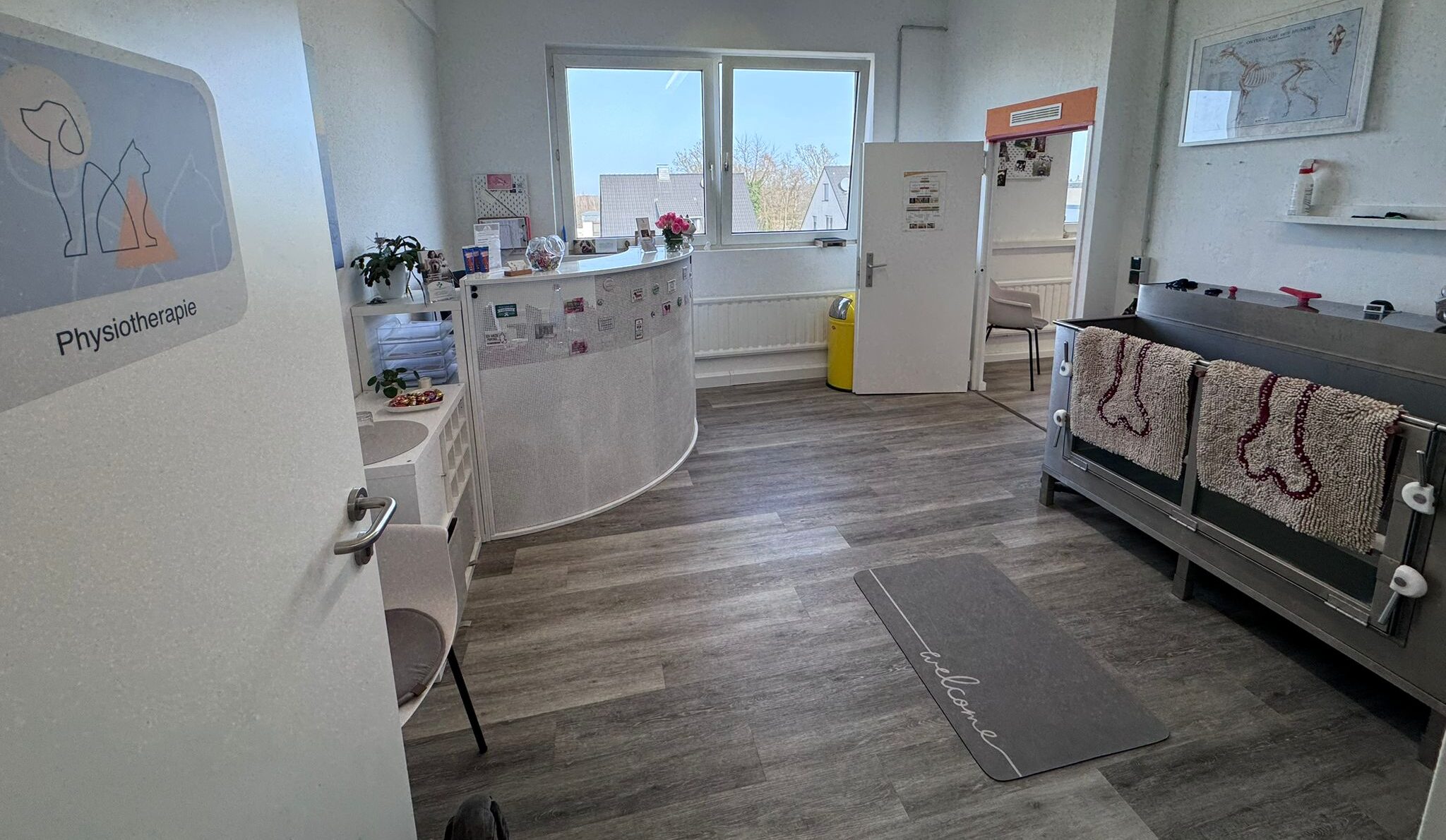 Einblick in die Räumlichkeiten der Physiotherapie Tier in Form